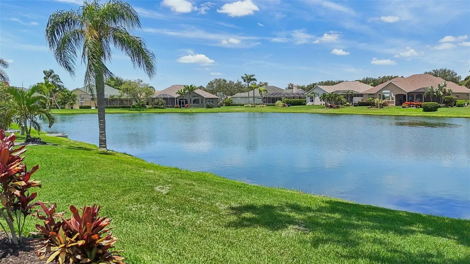 pond in Parrish 