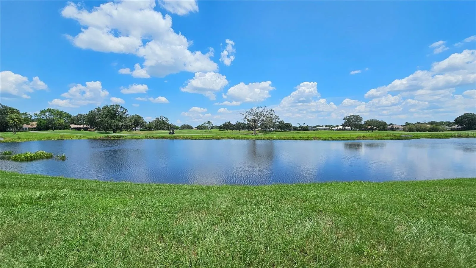 Parrish, FL Pond