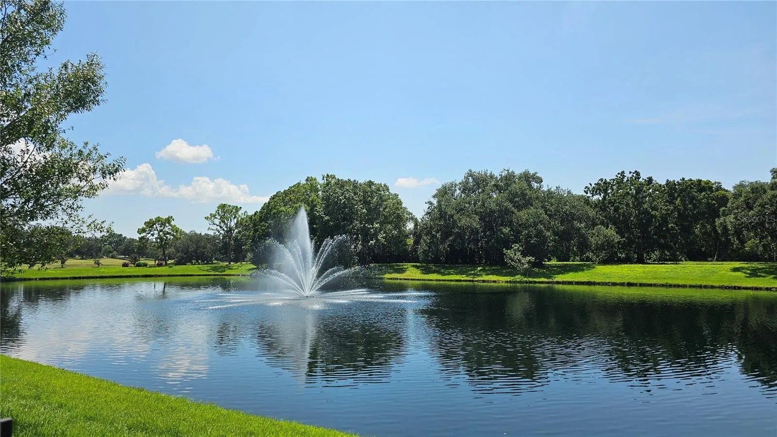 Pong in Parrish, Florida