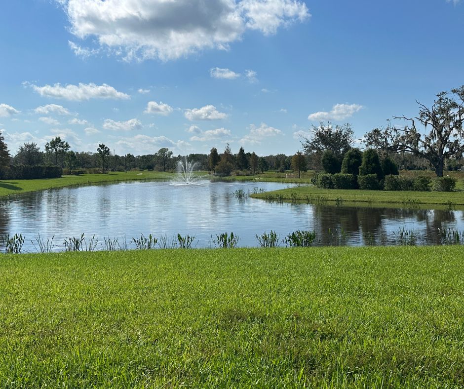 Pond in a parrish neighborhood