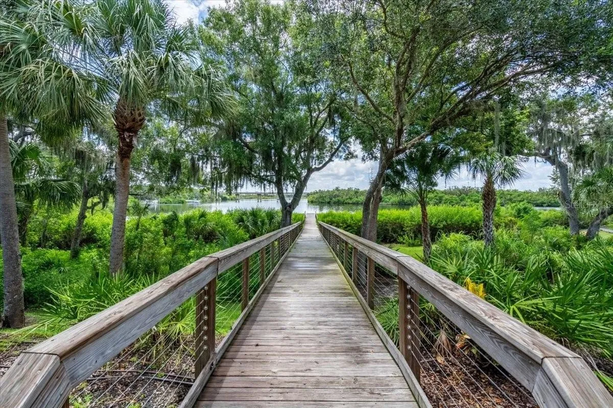 The Islands on the Manatee path 