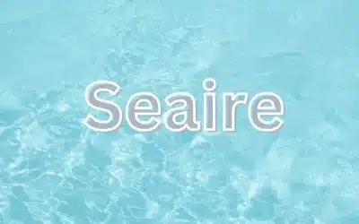 What Is Seaire in Parrish, FL? A First Look at the Lagoon Community